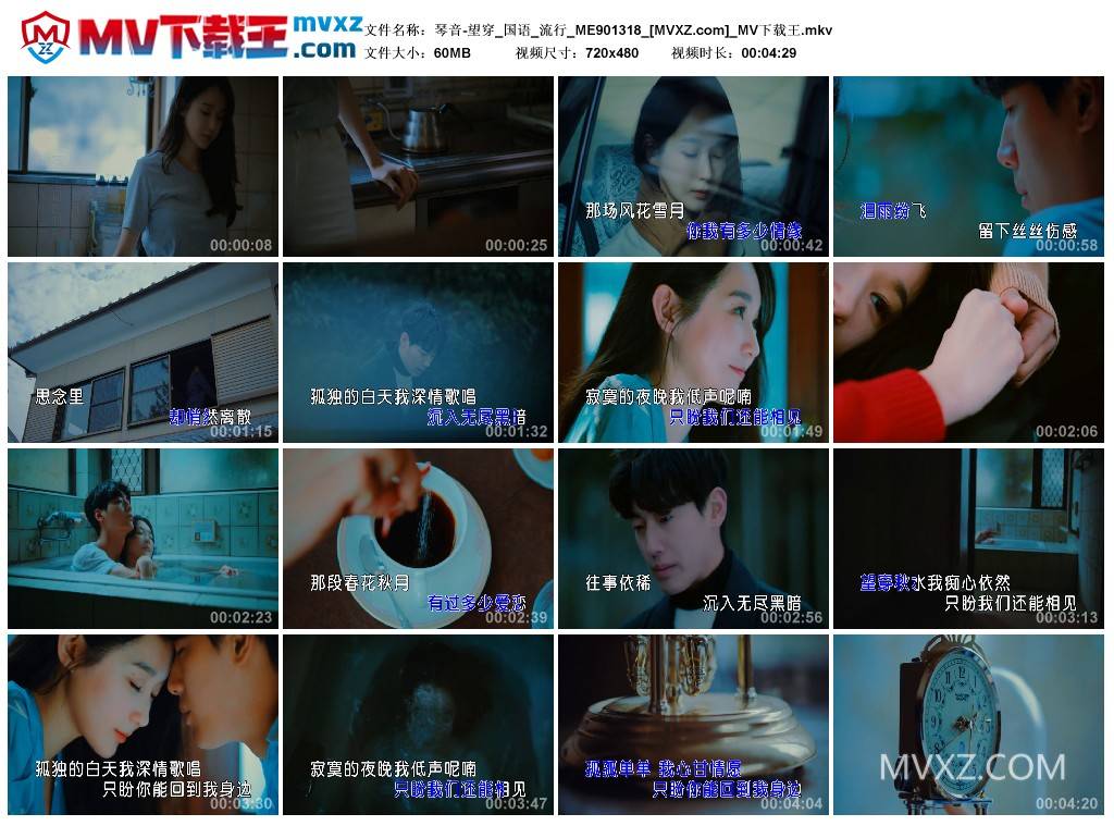 琴音-望穿_国语_流行_ME901318
